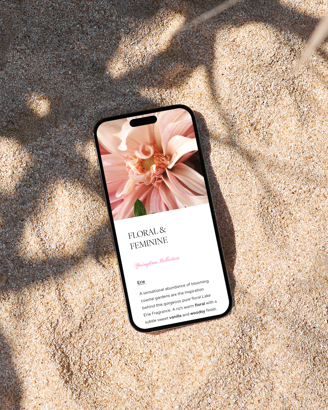 website design that is mobile friendly