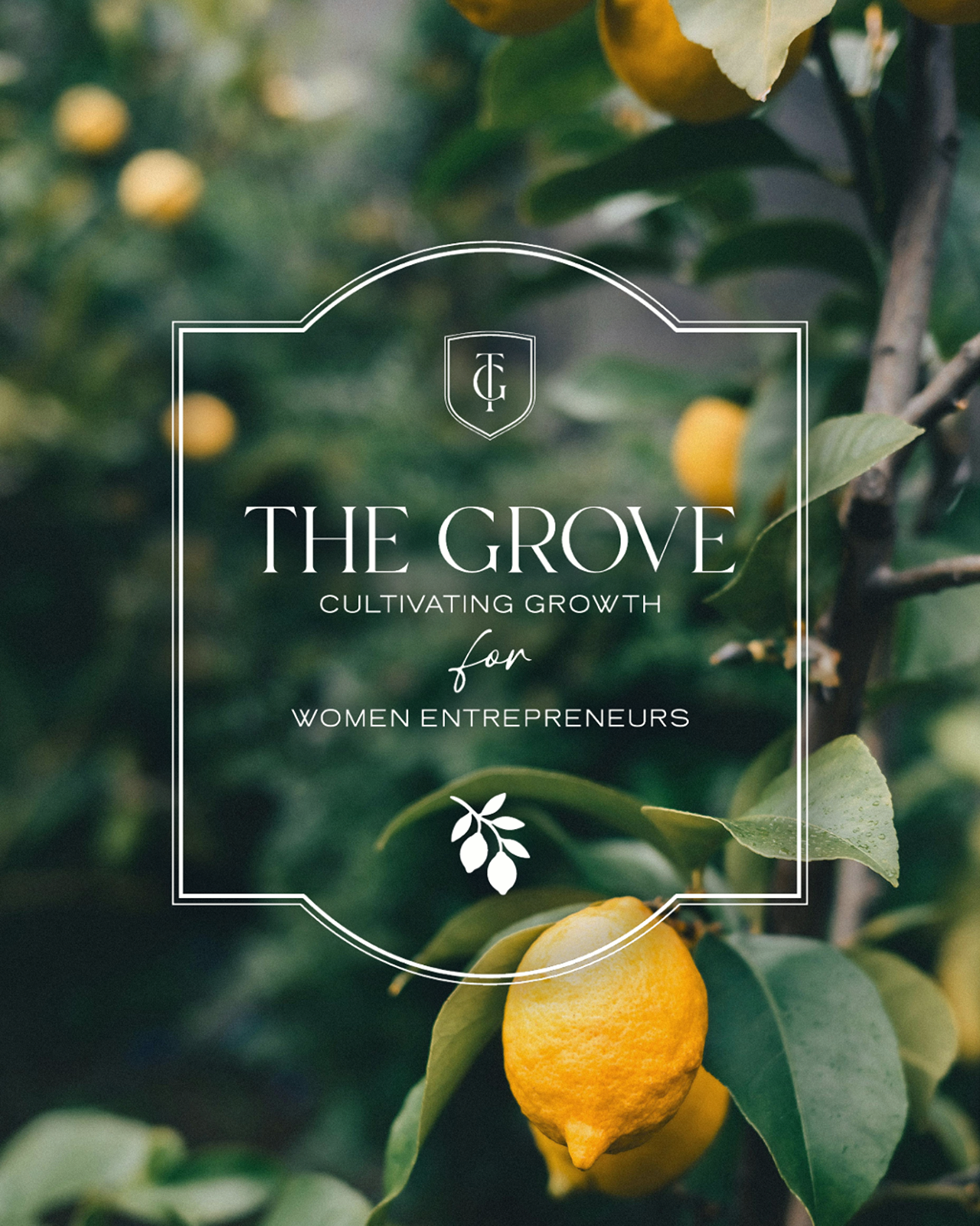 Intentional branding for a women-owned service provider, featuring calming tones, bespoke iconography, and visual harmony.